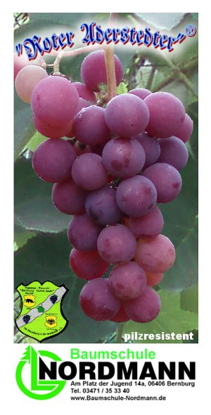 Roter Aderstedter Etikett